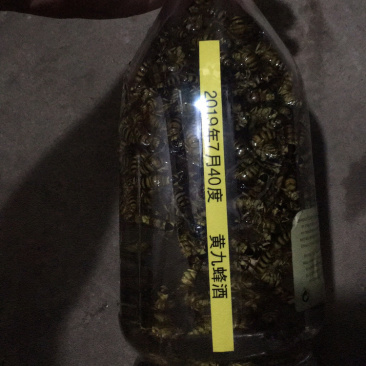 黄九蜂
