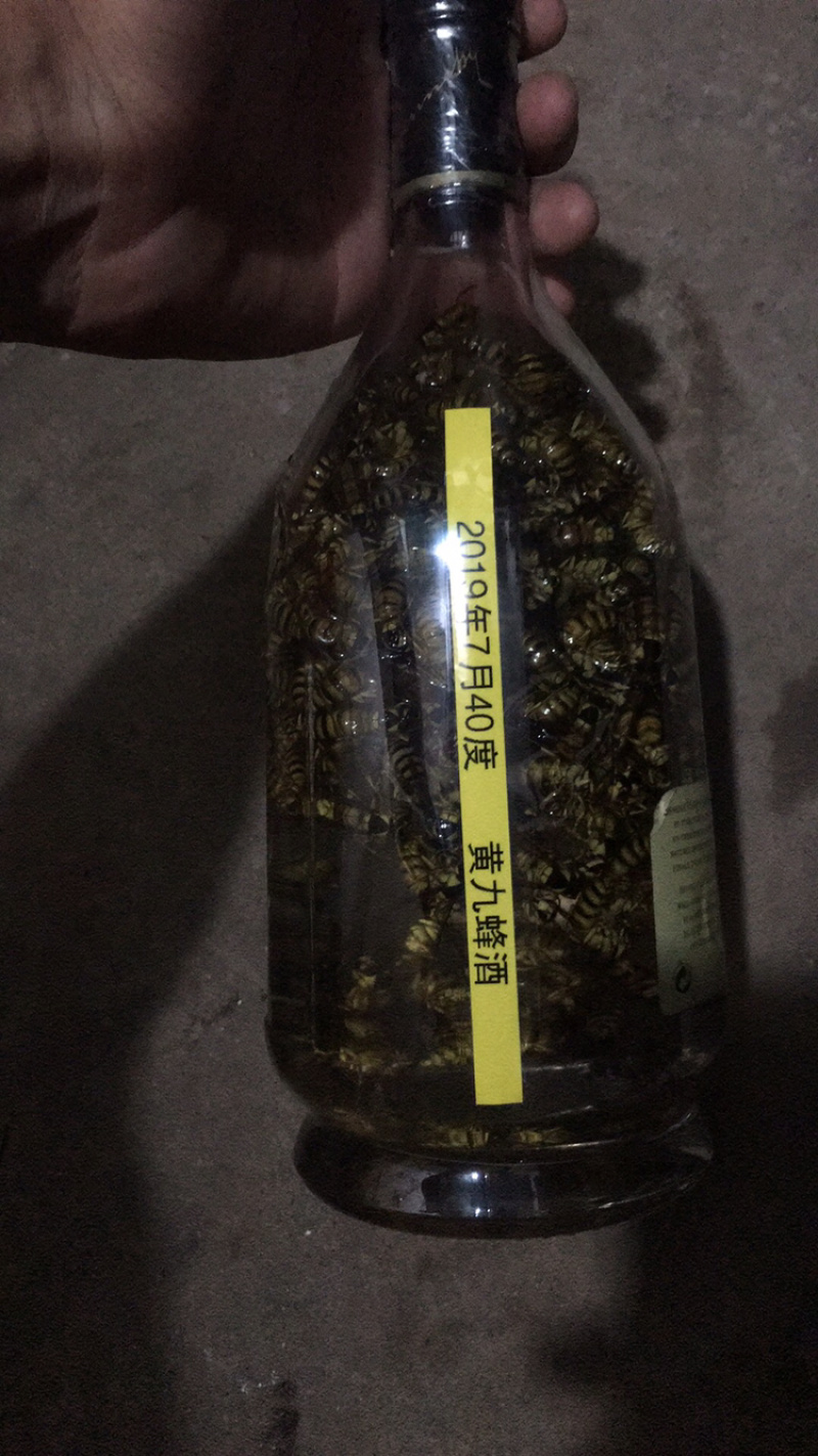黄九蜂