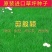 二月兰种子价格