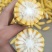 大量出售玉米棒