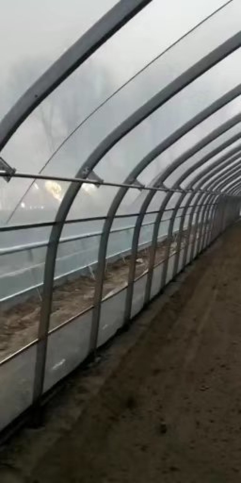 大棚钢管大棚管大棚骨架大棚膜厂家直发价格优惠