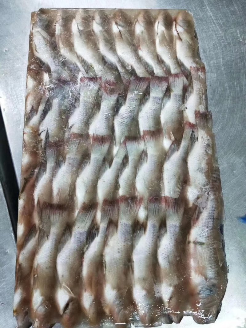 罗非鱼，三去罗非鱼，适合食堂，快餐店。