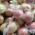 11膜袋富士高下捡口感脆甜