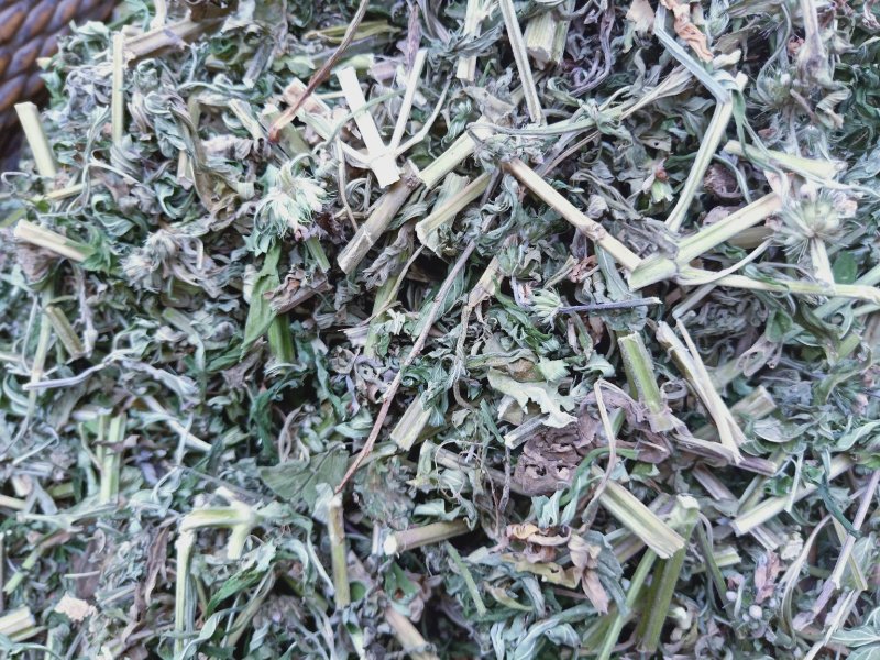 益母草野生全干货，产地直销