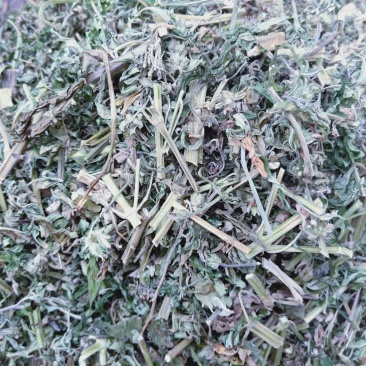 益母草野生全干货，产地直销