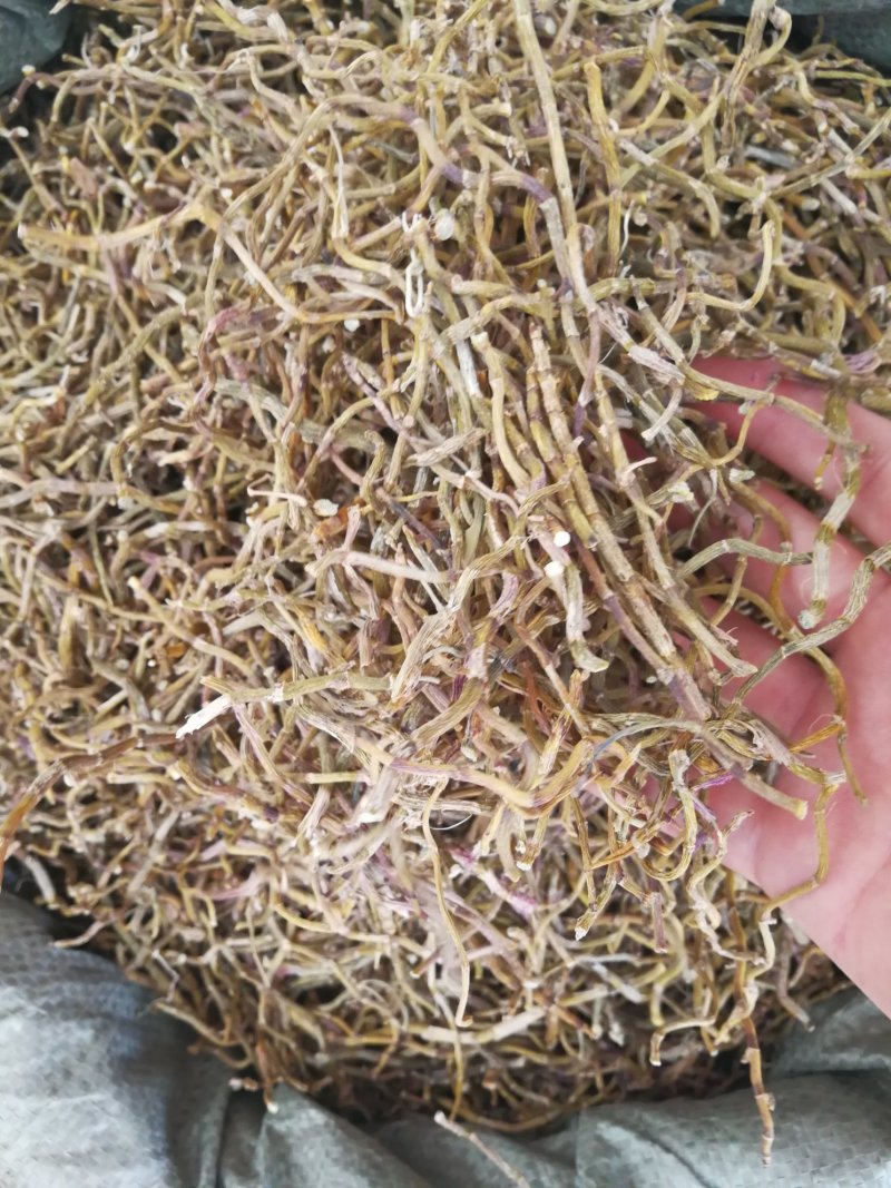 铁皮石斛干条可免费打粉可煲汤泡茶