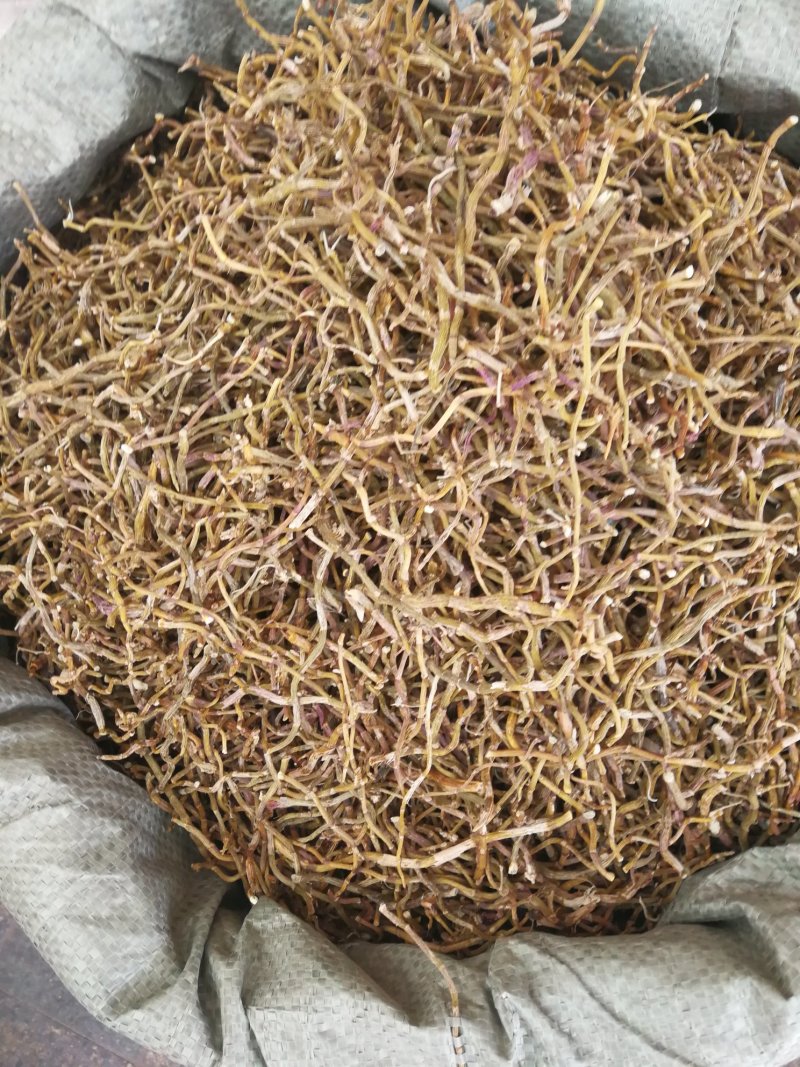 铁皮石斛干条可免费打粉可煲汤泡茶