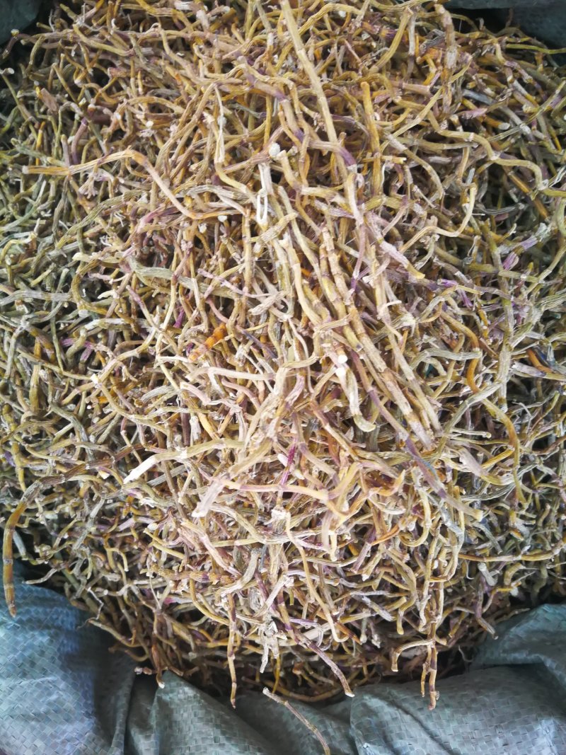 铁皮石斛干条可免费打粉可煲汤泡茶