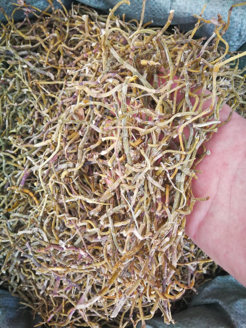 铁皮石斛干条可免费打粉可煲汤泡茶