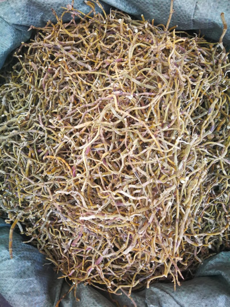 铁皮石斛干条可免费打粉可煲汤泡茶