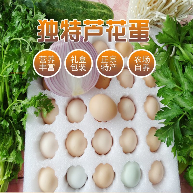 纯种汶上芦花鸡种蛋受精蛋包受精率高包孵化养殖技术