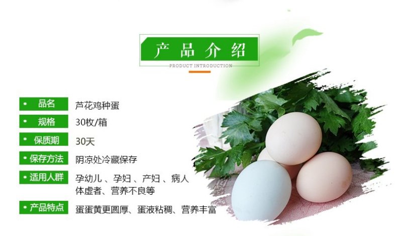 纯种汶上芦花鸡种蛋受精蛋包受精率高包孵化养殖技术