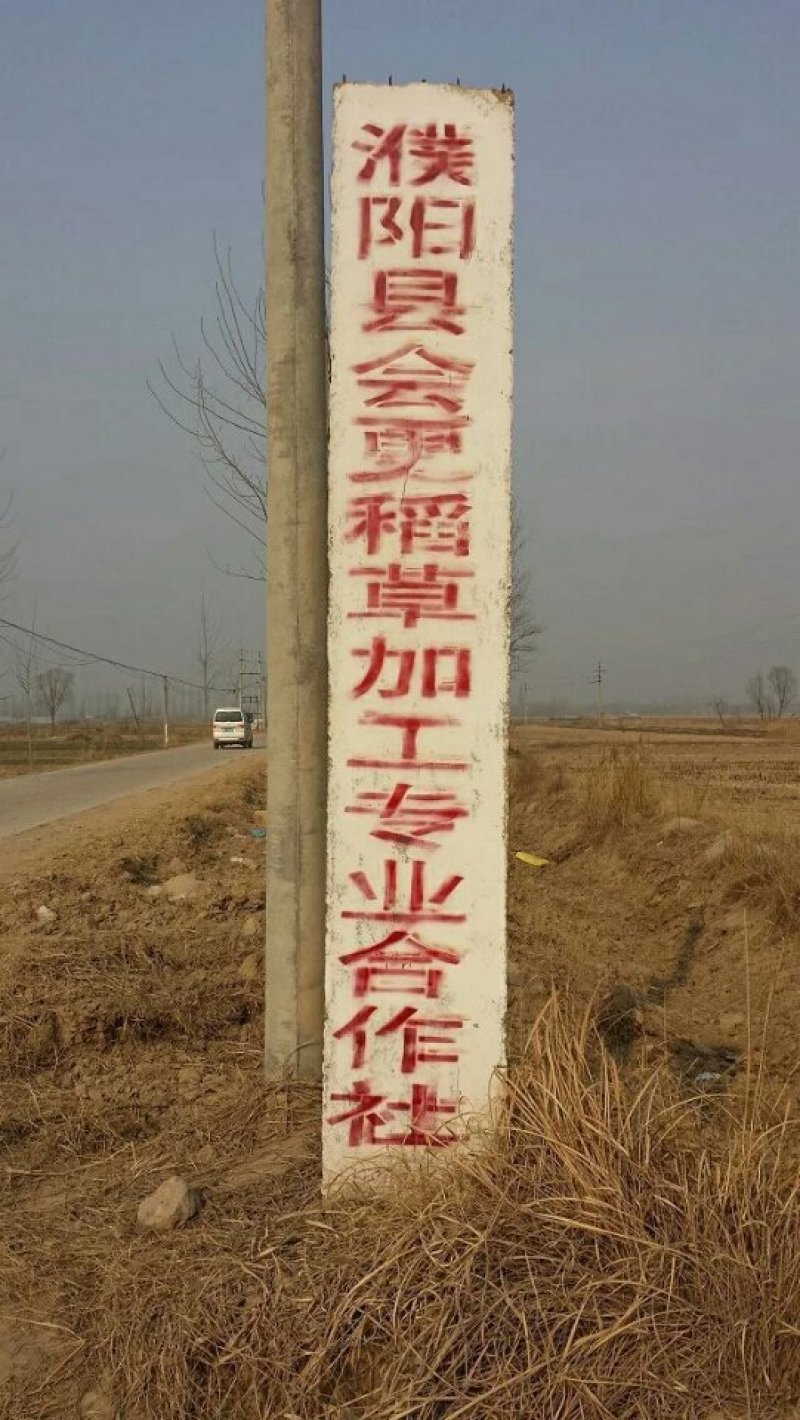 专业生产销售草苫子20年