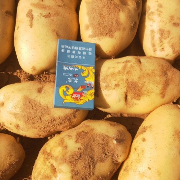 荷兰十五土豆3两以上精品纯沙地黄心土豆个头大薯形好