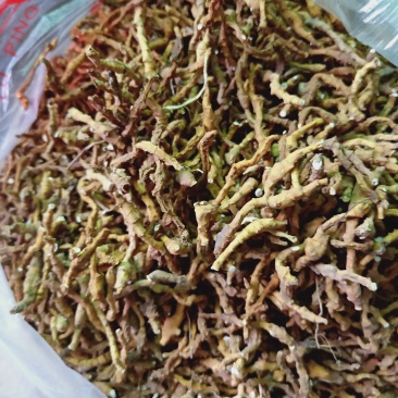 九节菖蒲陕西野生，高含量