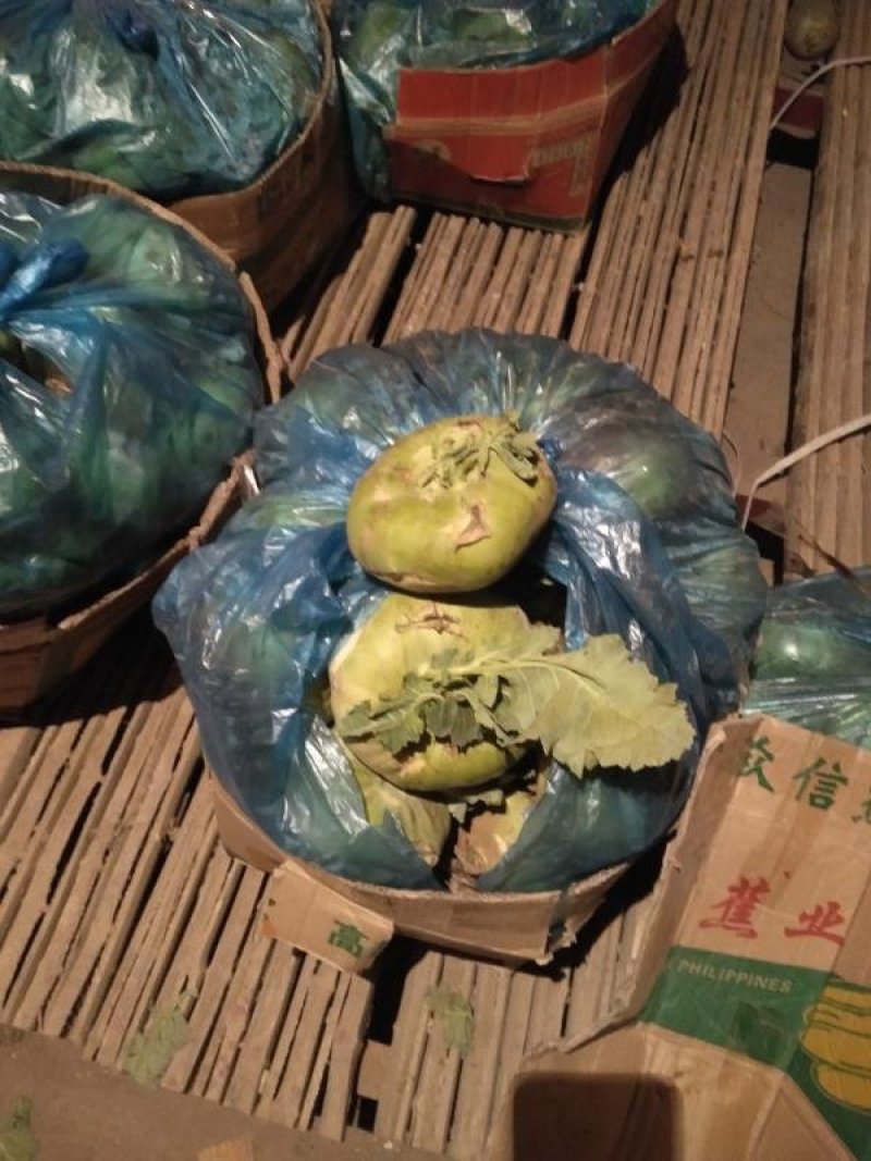 苤蓝，泰安肥城皮兰大量上市，质优价廉，货源充足