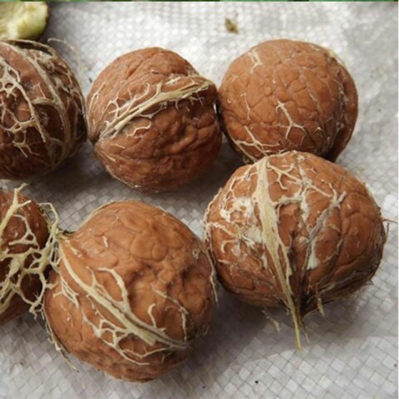 青皮核桃，直接可以下单包邮