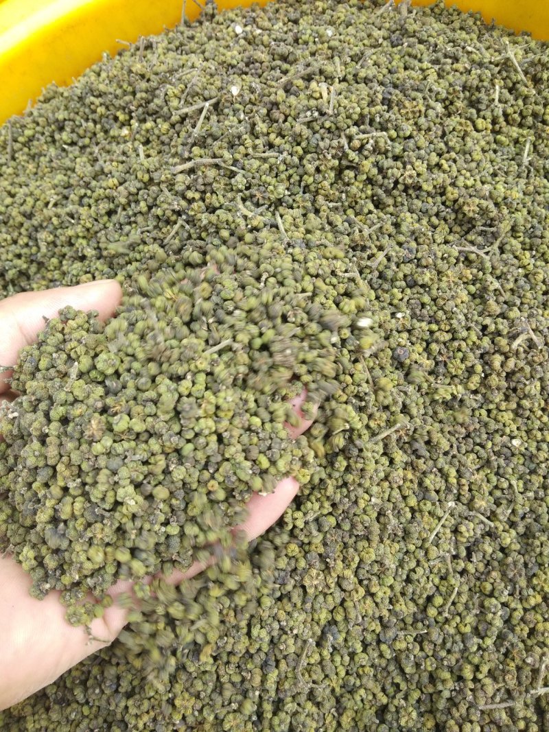 吴茱萸、茶辣