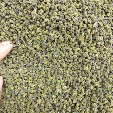 吴茱萸、茶辣