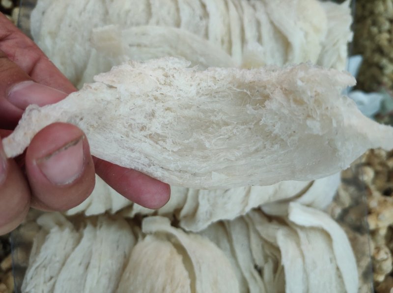 燕窝，燕条燕碎，5A66A疏盏，密盏50克起