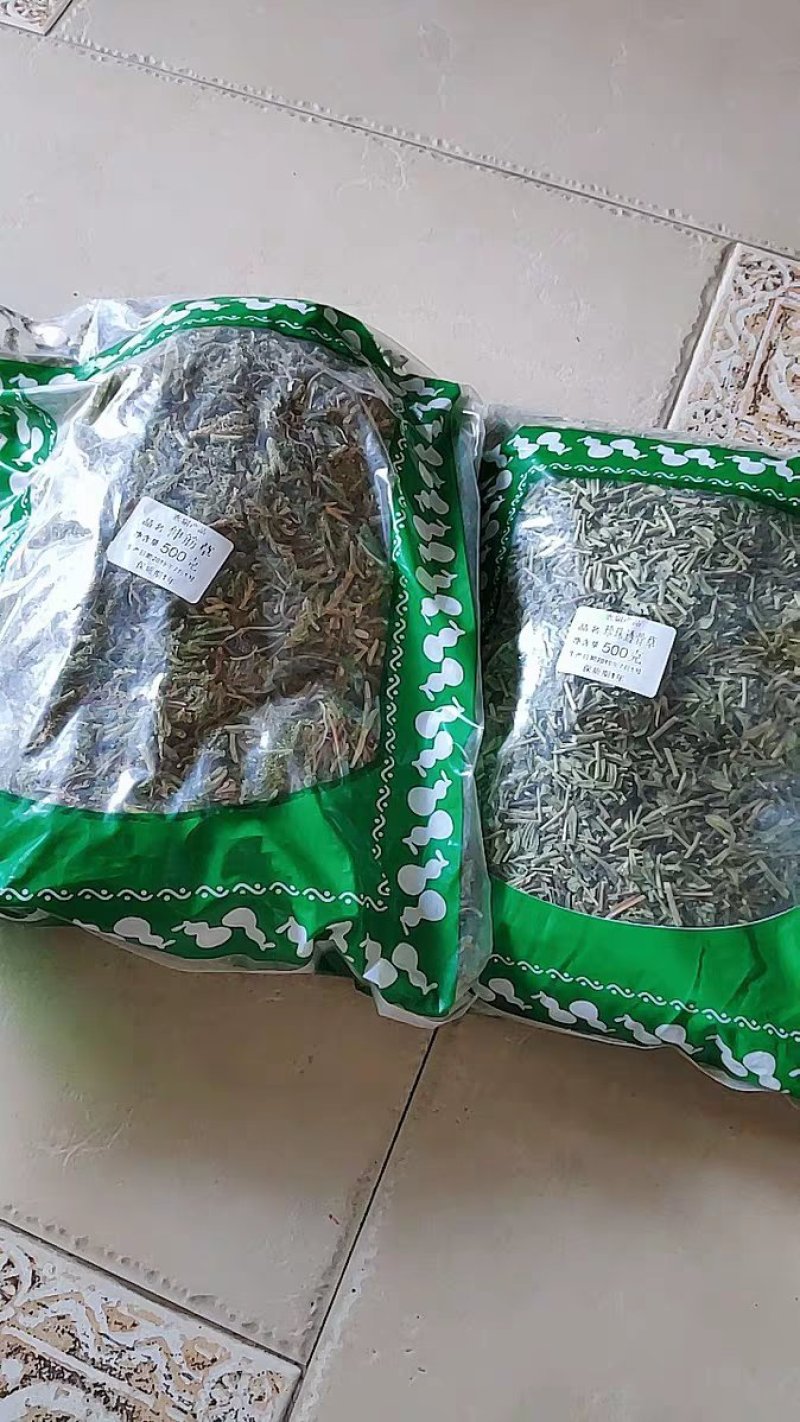 透骨草珍珠透骨草竹格叉吉盖草农家初选农副产品