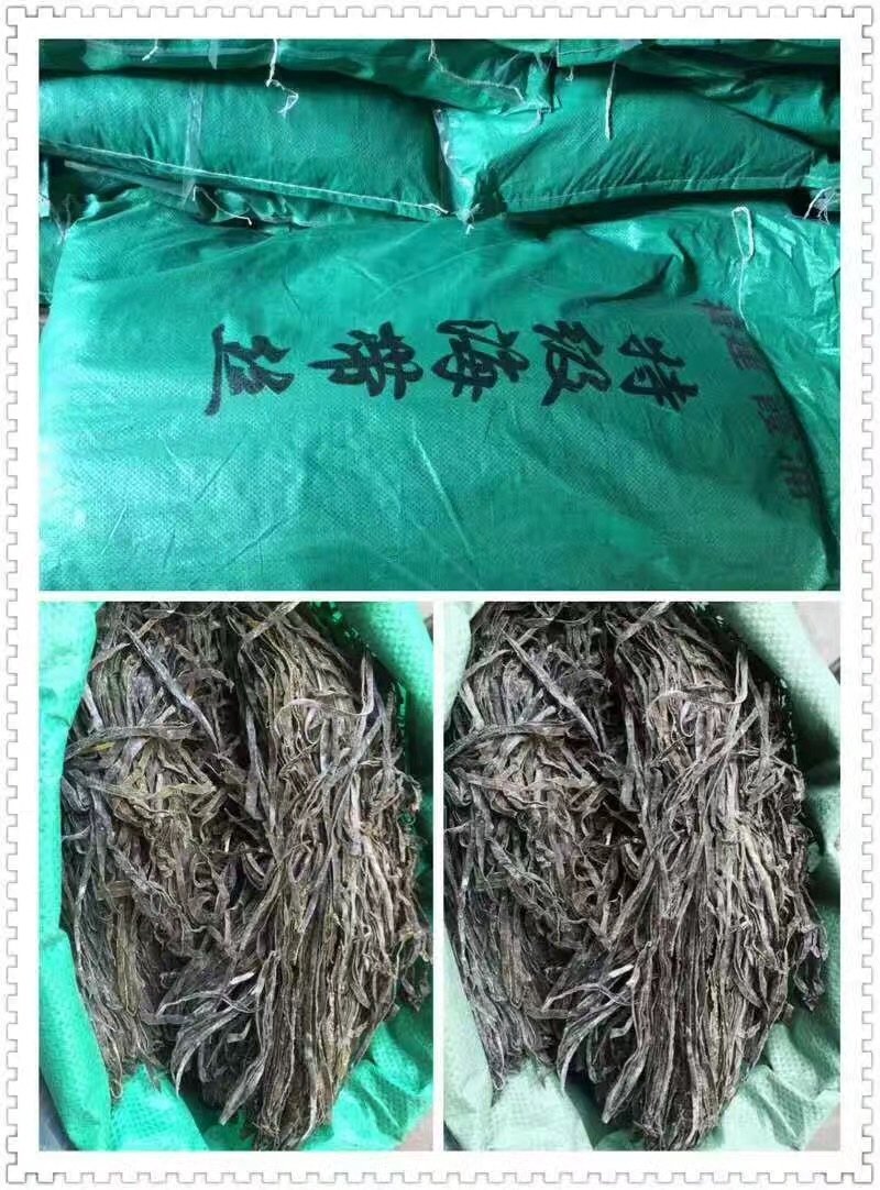 包邮供应福建批发加工长短干海带丝回泡率高煮得耙口感好