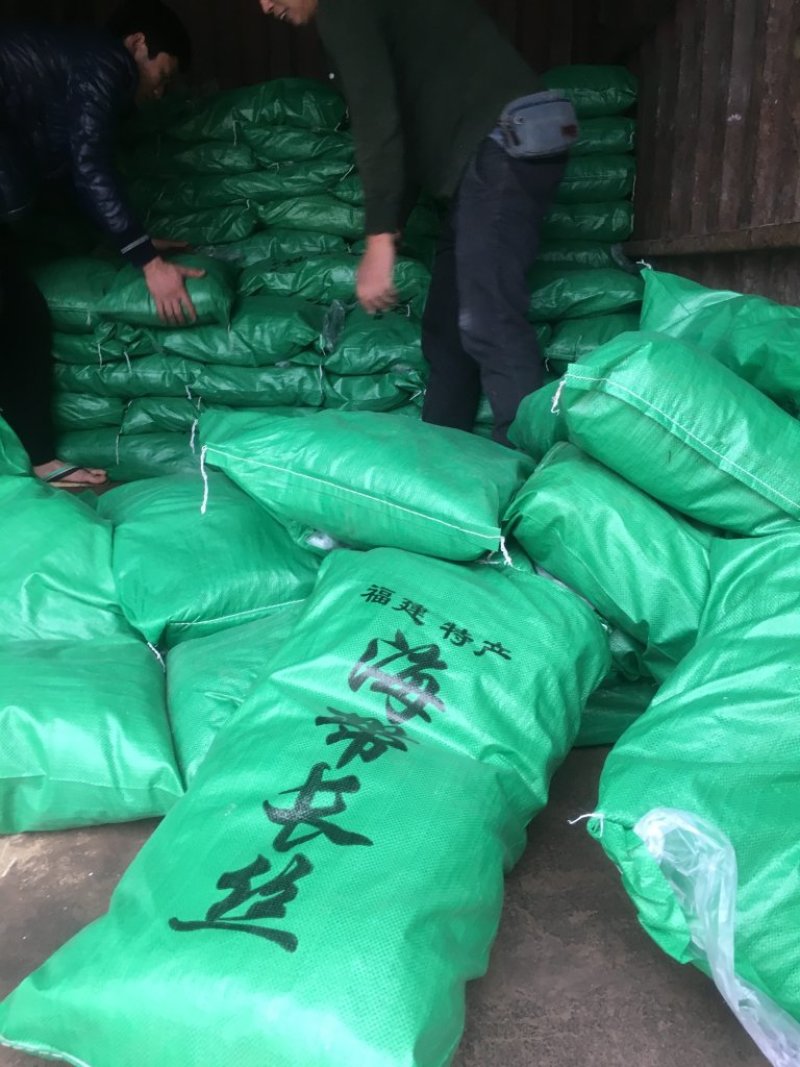 包邮供应福建批发加工长短干海带丝回泡率高煮得耙口感好