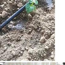 滴灌带农用水管滴灌带1寸喷灌滴管带