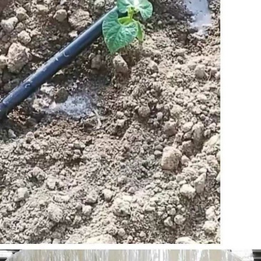 滴灌带农用水管滴灌带1寸喷灌滴管带