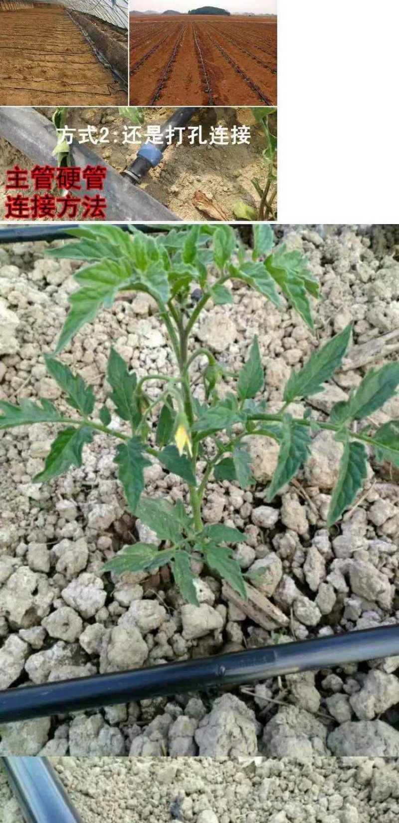 滴灌带农用水管滴灌带1寸喷灌滴管带