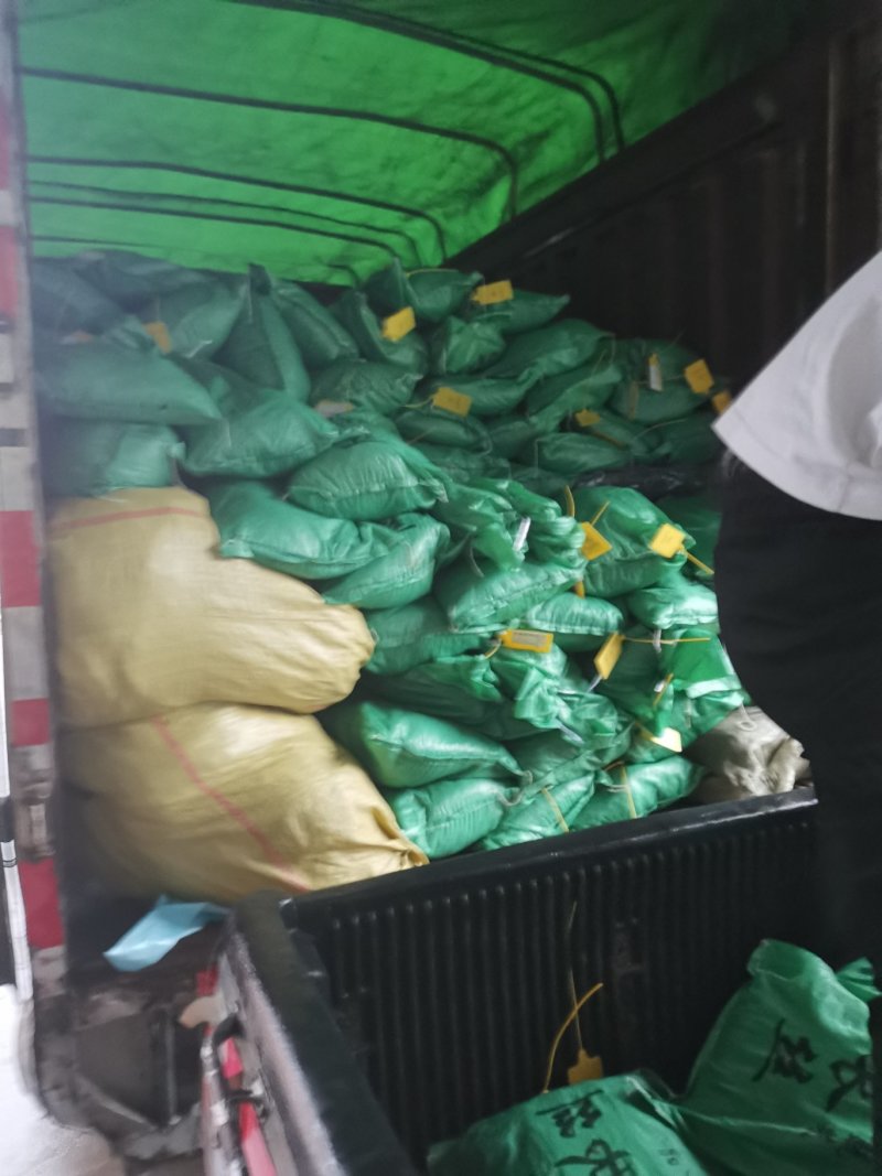 包邮供应福建批发加工长短干海带丝回泡率高煮得耙口感好