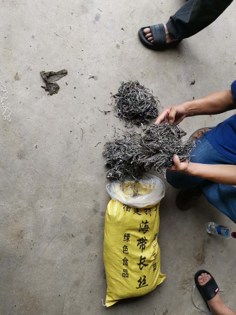 包邮供应福建批发加工长短干海带丝回泡率高煮得耙口感好