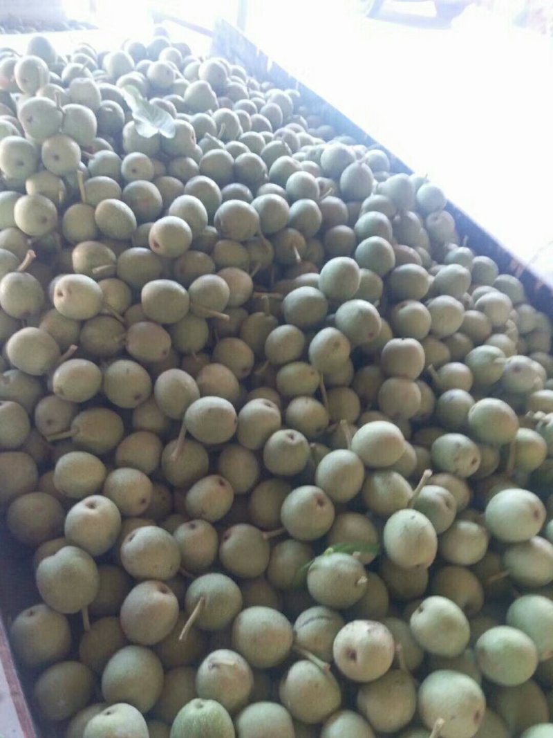 青皮核桃，个头大，青皮薄，硬核基本上都是皮薄质优价廉，