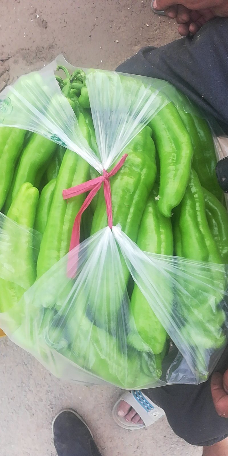 黄皮尖椒