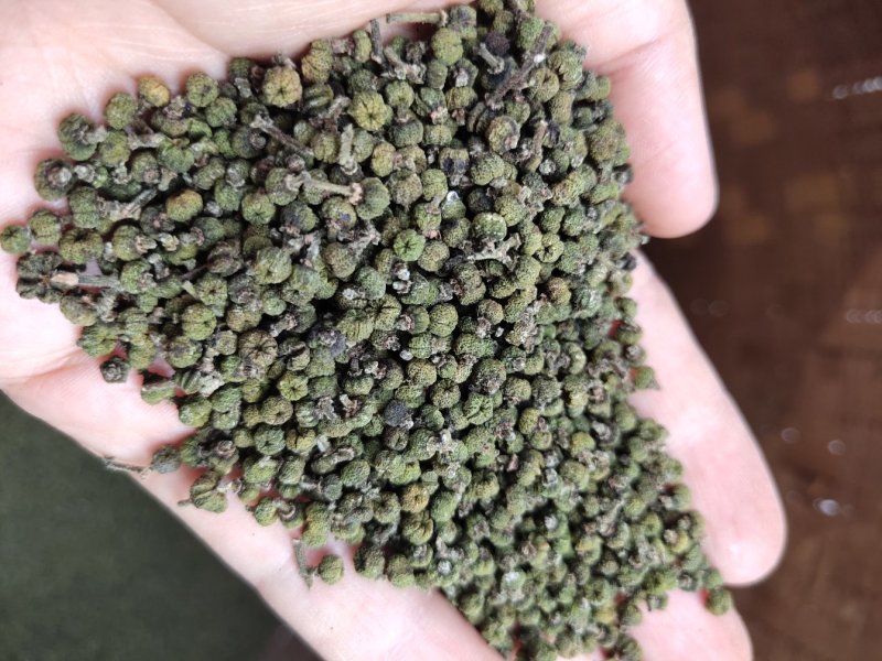 高含量吴茱萸江西广西中花统