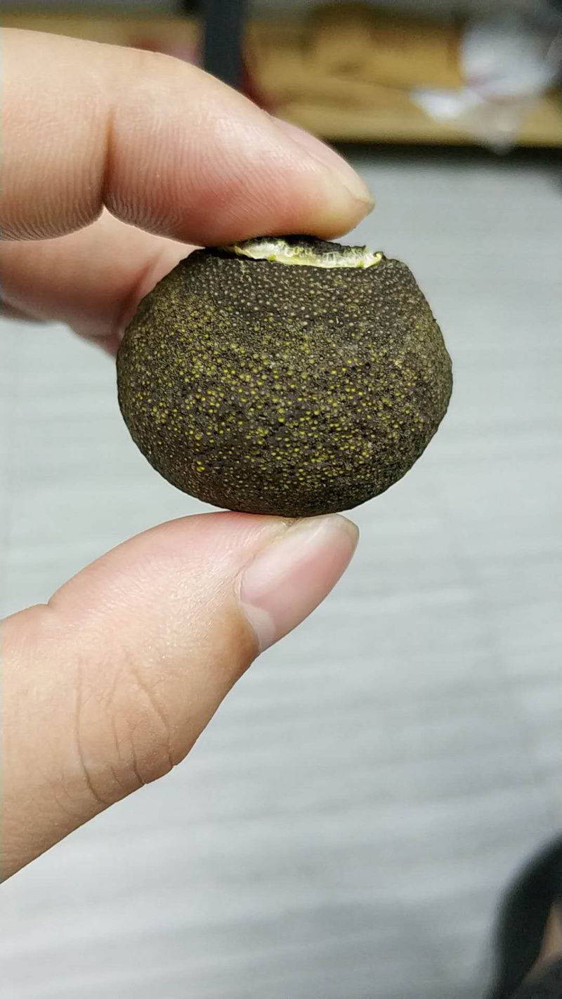 半生晒正宗新会小青柑普洱茶
