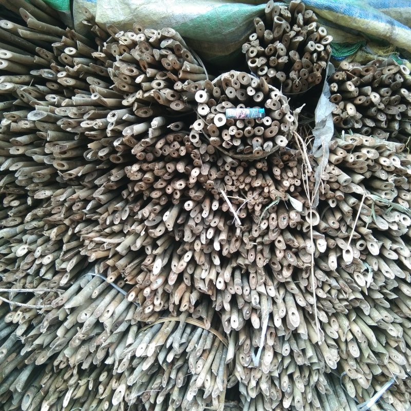木竹
