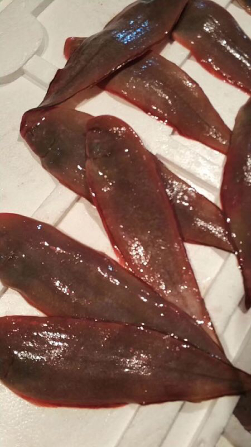 海鱼新鲜海鲜各种海鲜生鲜真空包装全国直销
