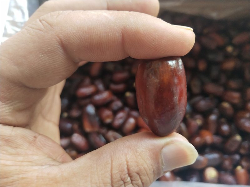 阿联酋椰枣