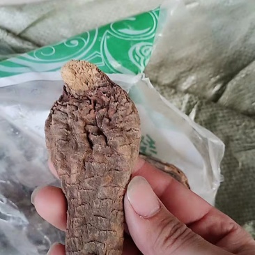 肉苁蓉整根肉苁蓉片干农家初选农副产品123