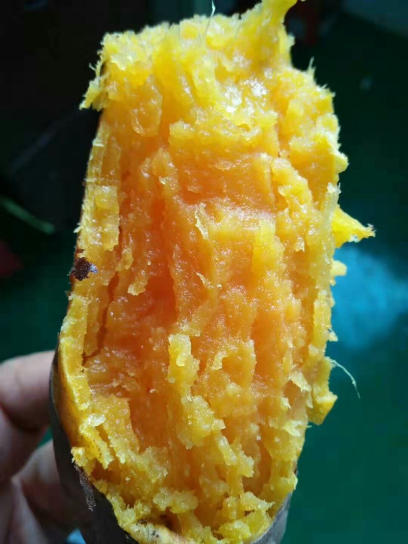 瓦岗红薯，产地直发支持各种规格品种欢迎咨询
