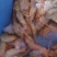 大白虾