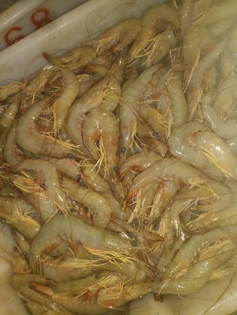 大白虾