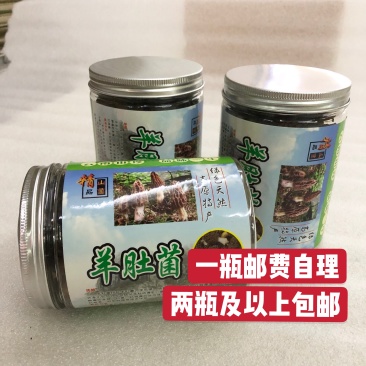 2022新货特价促销6公分以上羊肚菌尝鲜价30g