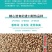 进口耐热香菜种子香味浓基地专用