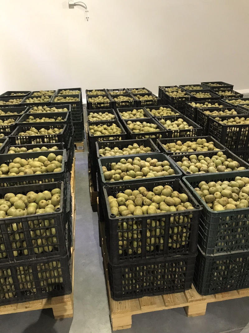 百色五塘大型冷库招租