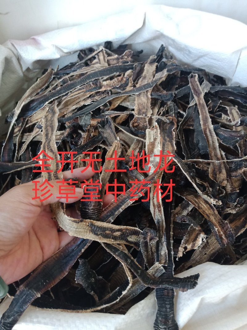 广西地龙各种规格地龙段整支地龙批发零售各种规格中药材