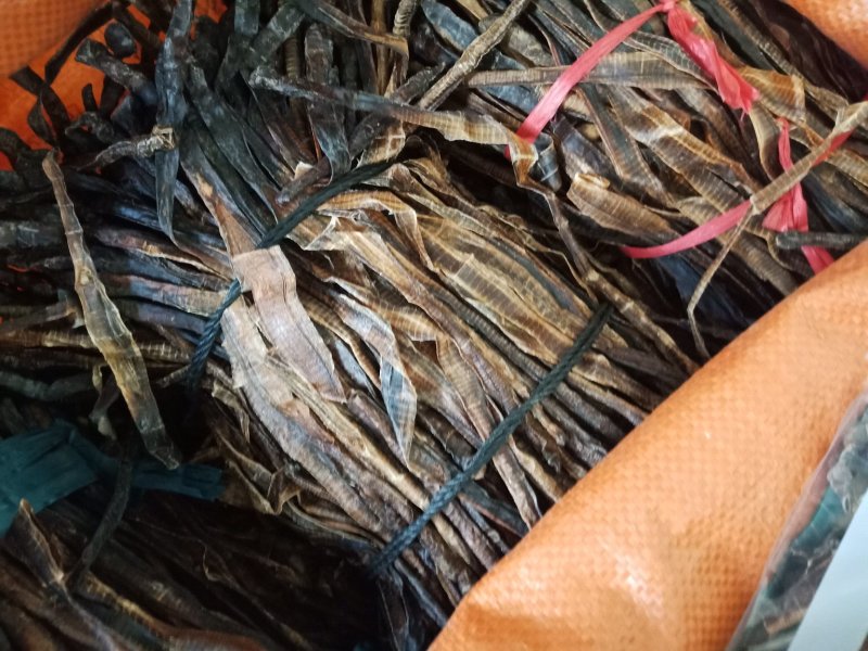 广西地龙各种规格地龙段整支地龙批发零售各种规格中药材