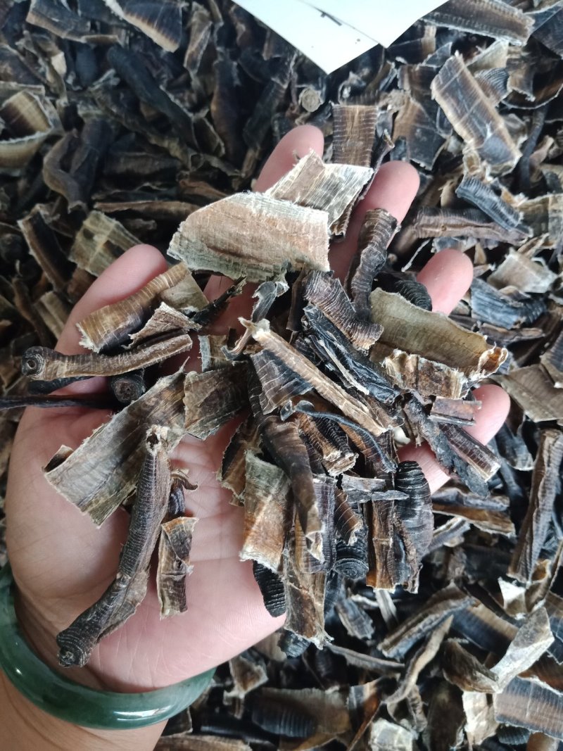 广西地龙各种规格地龙段整支地龙批发零售各种规格中药材