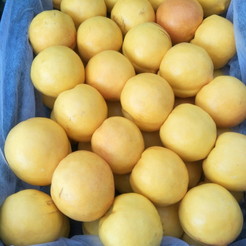 黄油桃